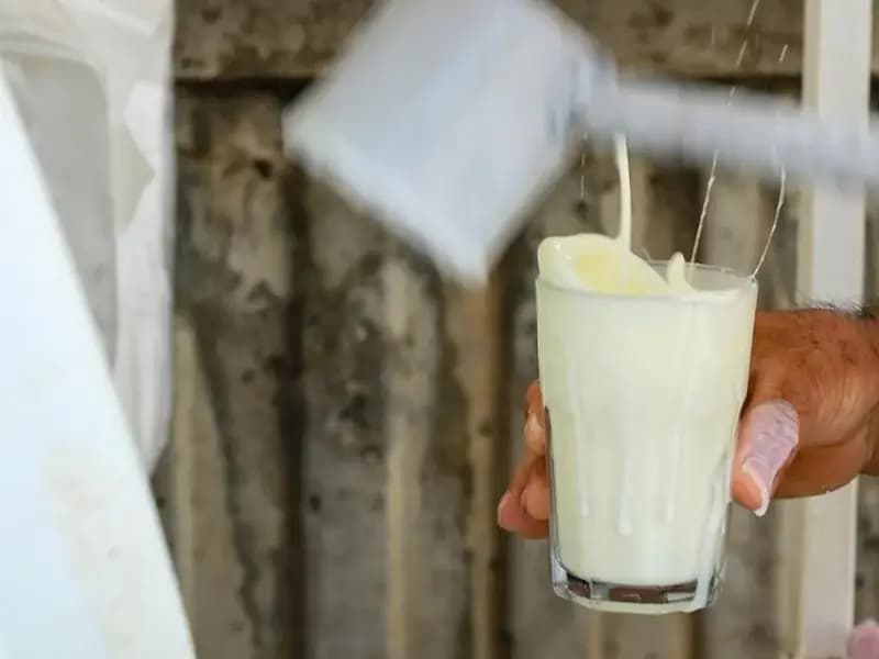 Ayran Üretiminde Yeni Rekor: Türkiye’den Tarihi Zirve!