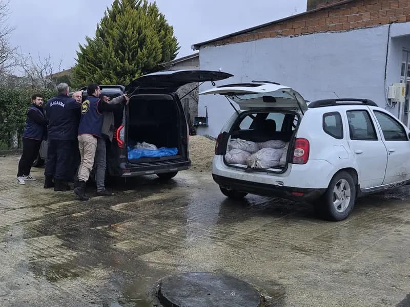 Silivri'de Şok Operasyon: 306 Kilogram At Eti Bulundu