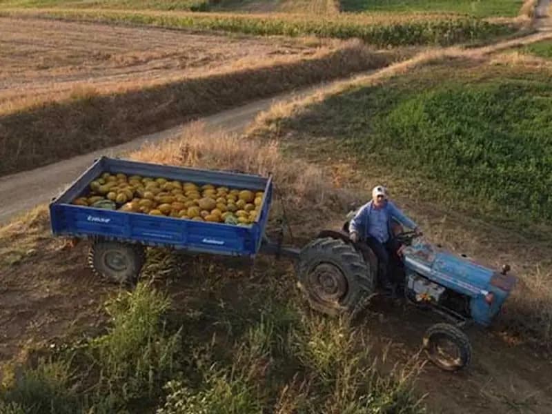 İstanbul'da otomotiv sektörü yöneticisi, köyünde çiftçi oldu