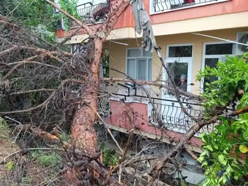 Yağmurun Gücüne Dayanamadı: Bina Yıkıldı, Merak İçerikleriyle Dolu!