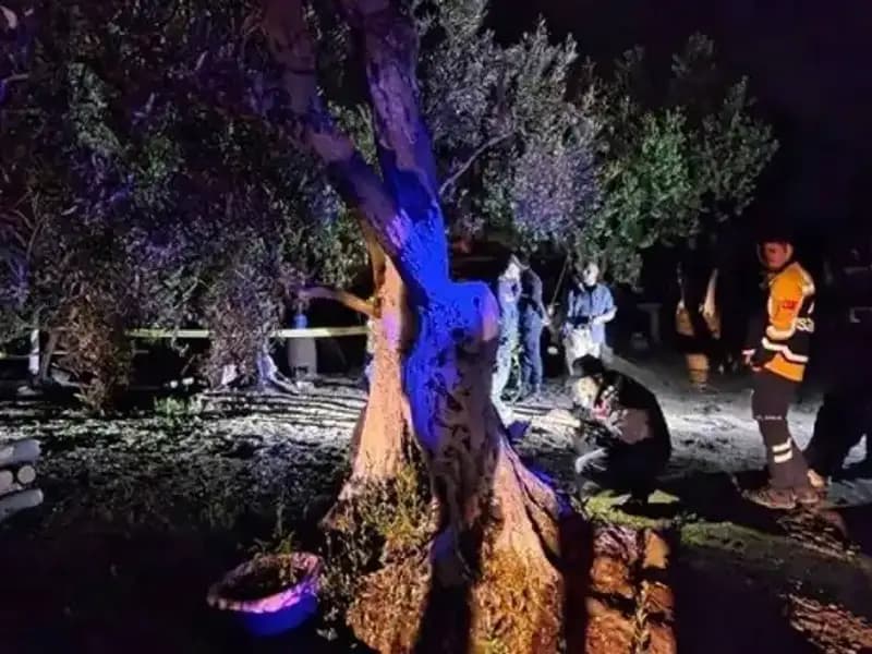 Çiftlikteki Baltalı Vahşet: Bir Tutuklama, Çok Sayıda Soru