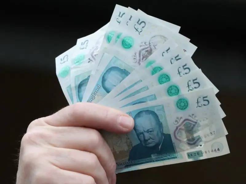 İngiltere Merkez Bankası, Yeni Banknotlarda Doğayı Seçti