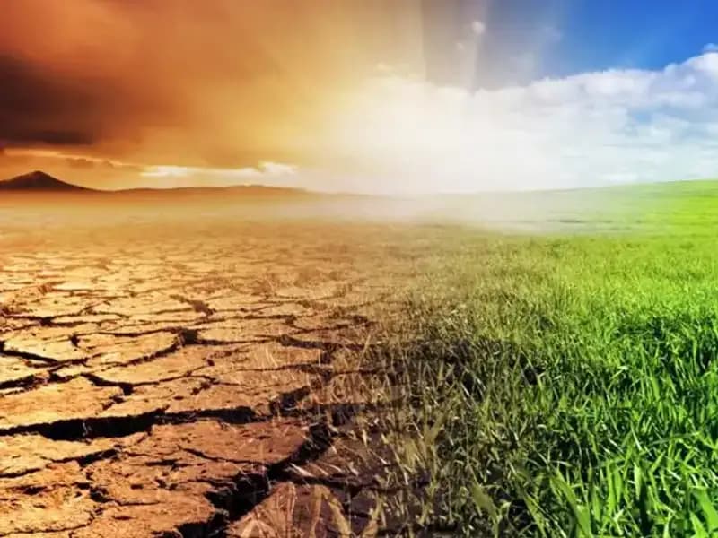 İklim Kanunu: İklim Değişikliğiyle Mücadelede Yeni Bir Dönem