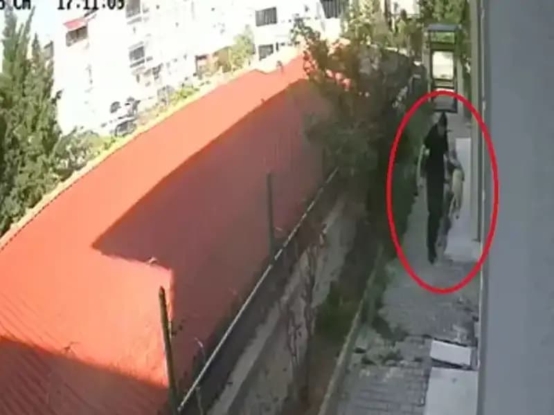 Evinde Köpekleri Parçalayan Doktor Tutuklandı: Belirsizlikler ve Tepkiler