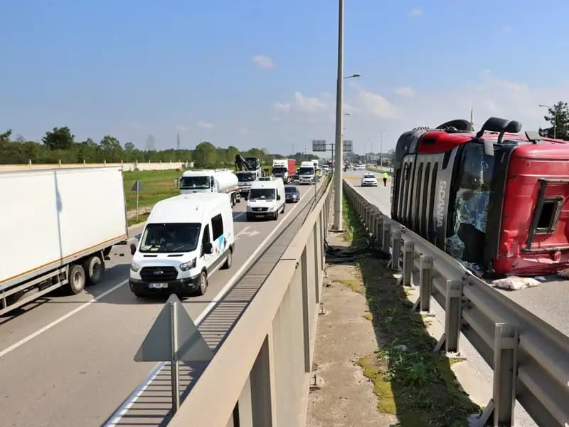 Arı Sokması Şoförü Bayılttı: Kontrolden Çıkan Tır Devrildi, 50 Metre Sürüklendi