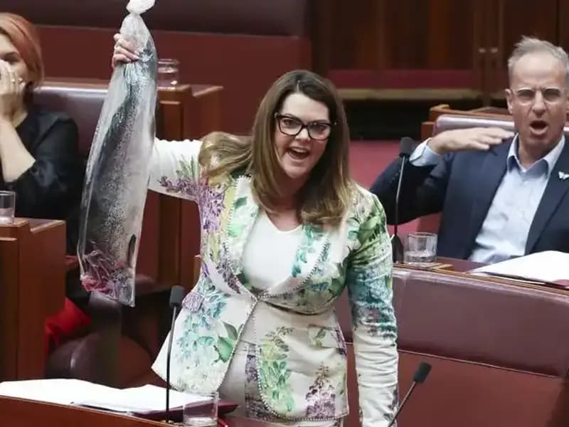 Çürük Balık Protestosu: Senatörler Parlamento'da Neden İsyan Etti?