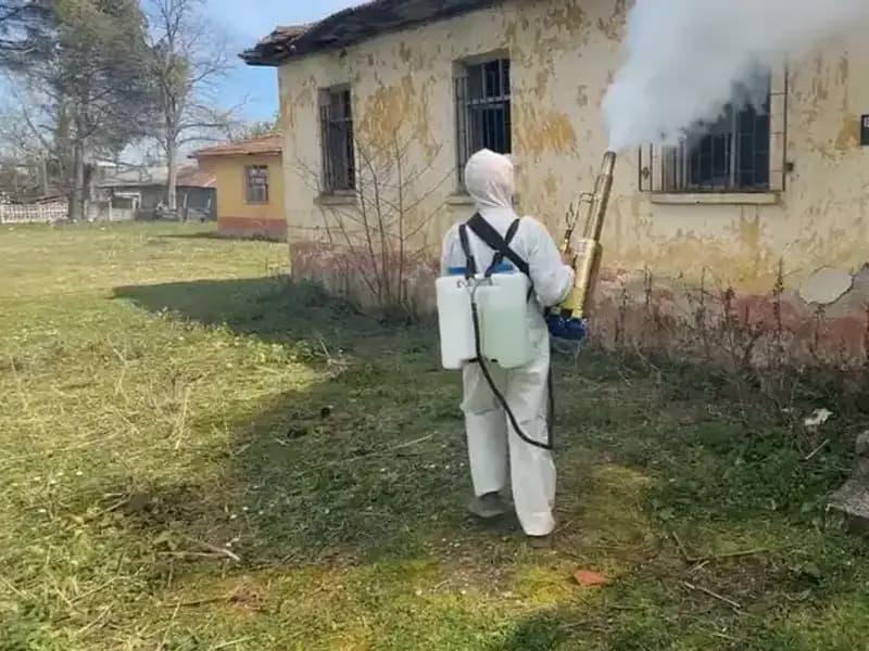 Çiftçiler, Kahverengi Kokarca ile Mücadelede Seferberlik Duyurdu