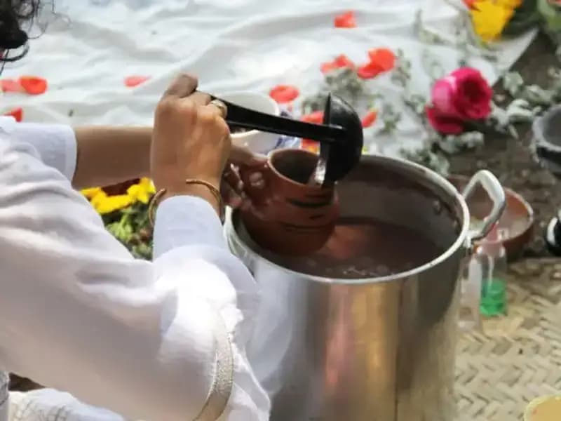 Ayahuasca: Gizemli Şifa Bitkisi ve Yasal Durumu Üzerine Her Şey