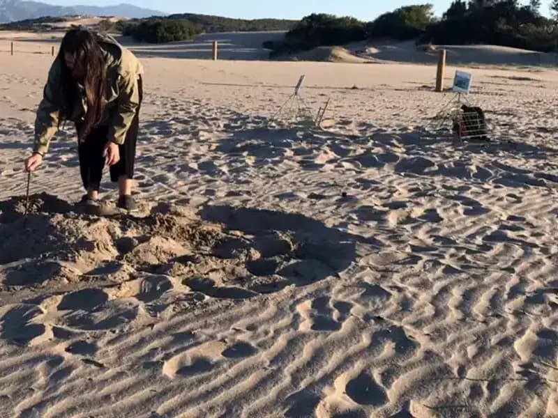 Gece Giriş Yasağı Uygulanan Sahillerde Cezalar Neden Bu Kadar Yüksek?