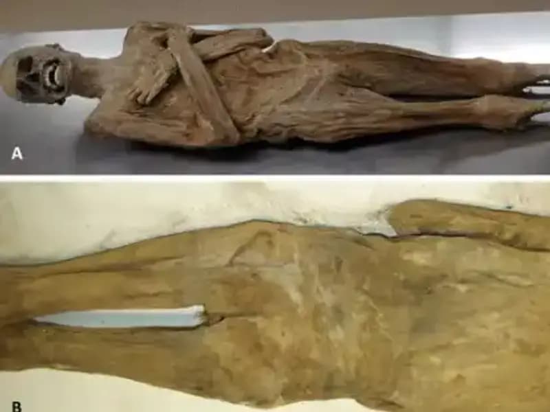 Eski Mısır’ın Sırlarını Aydınlatan Kurutulmuş Papazın Mumyası Keşfedildi