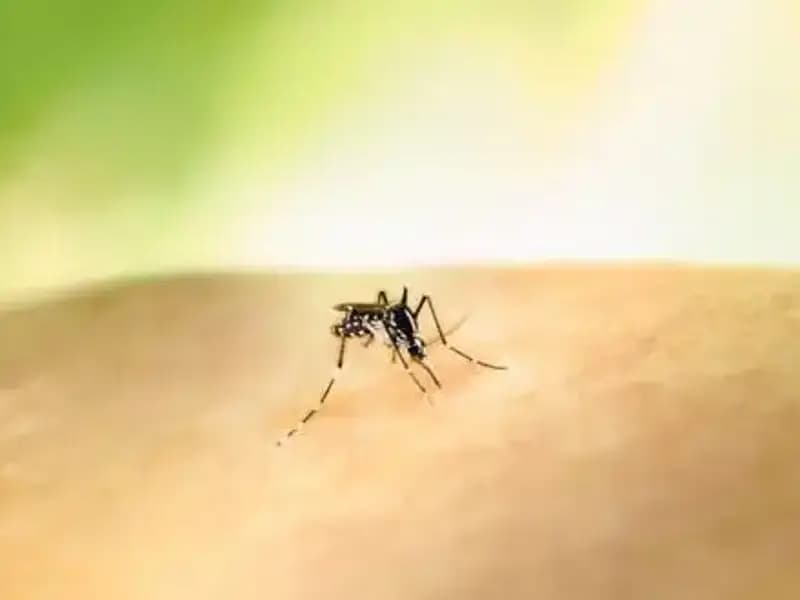 Kolombiya’da Sarıhumma Tehlikesi: Cumhurbaşkanı Petro’dan Kritik Aşı Uyarısı!