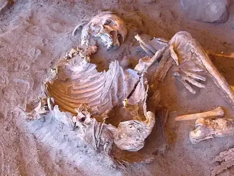 Yeni Mumya Keşfi: İnsanlığın Soy Ağacı Yeniden Şekilleniyor