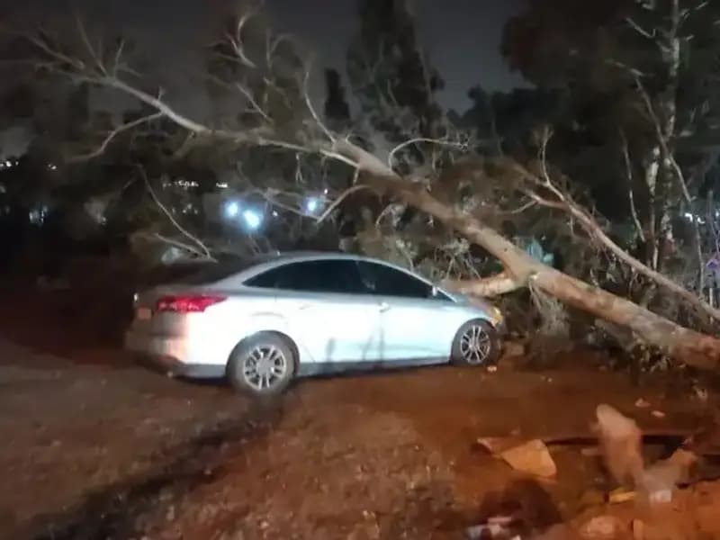Hatay'da Şiddetli Fırtına Hayatı Olumsuz Etkiledi: Tekneler Alabora Oldu ve Ağaçlar Devrildi
