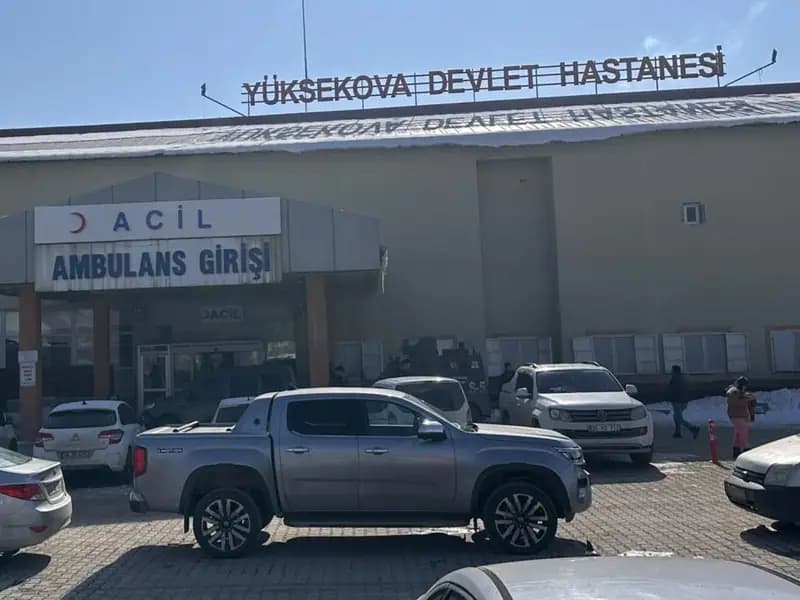 Hakkari'de başıboş köpeklerin saldırdığı çocuğu öldü