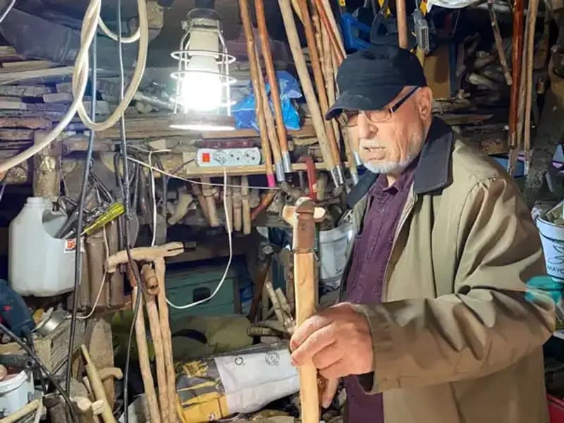 Doğanın Verimliliği: Odunluktan Atölyeye Dönüşüm Hikayesi