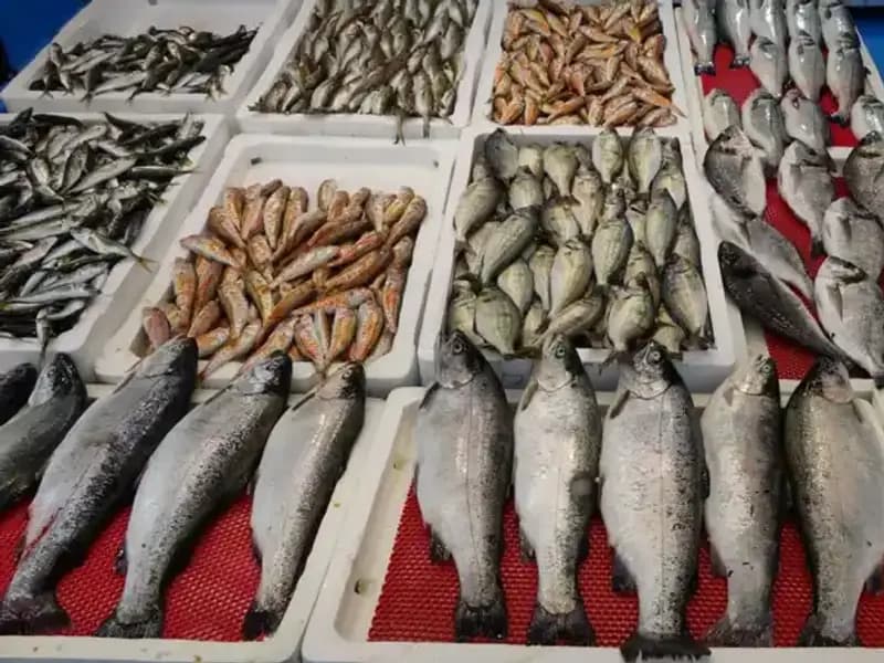 Tezgâhlardaki Yasak: Hangi Ürünler Yeni Düzenlemeyle Sıfırlandı?