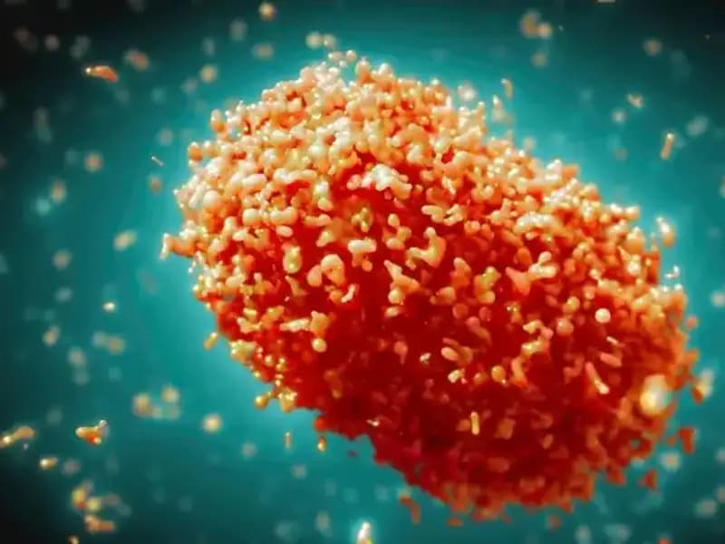 Maymun Çiçeği Vakalarında Şok Artış: 12 Günlük Karantina Duyuruldu!