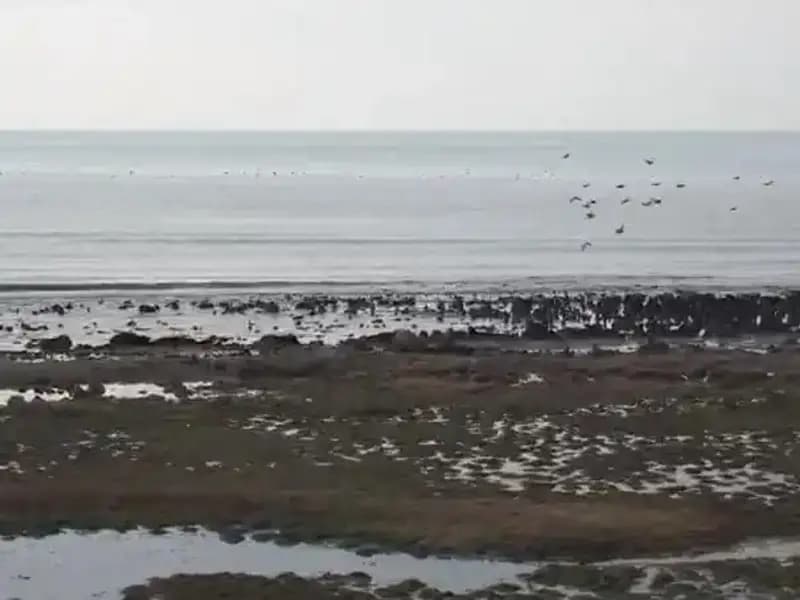 Türkiye’nin En Büyük Gölü: Su Kaybı Tehlikesiyle Karşı Karşıya