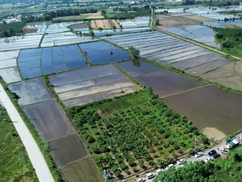 Osmanlı Saray Mutfağının Sırları: Toprağın Bereketi Yeniden Hayat Buldu