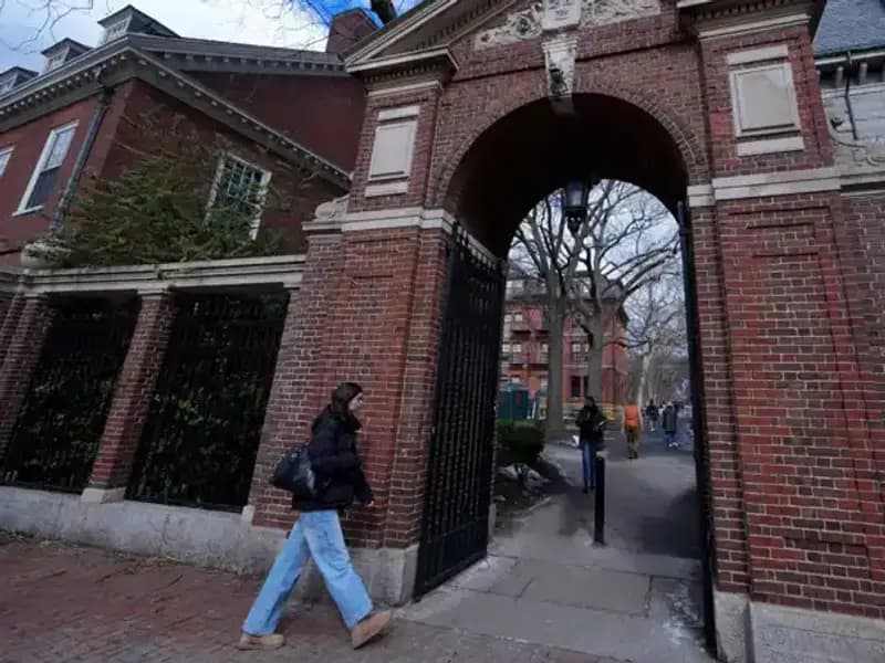 Harvard Profesörlerinden Trump Yönetimine Şok Dava Açıldı!