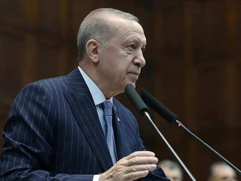 Cumhurbaşkanı Erdoğan: Türk'ün Hürriyetine Dokunulamaz Açıklaması