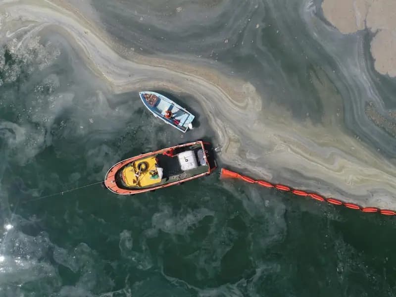 Marmara Denizi'nde Müsilaj Sorunu Sürüyor