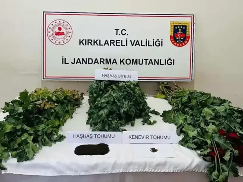 Kırklareli'nde Uyuşturucu Operasyonu: 8 Gözaltı, Madde İhtiyaç Hızla Artıyor