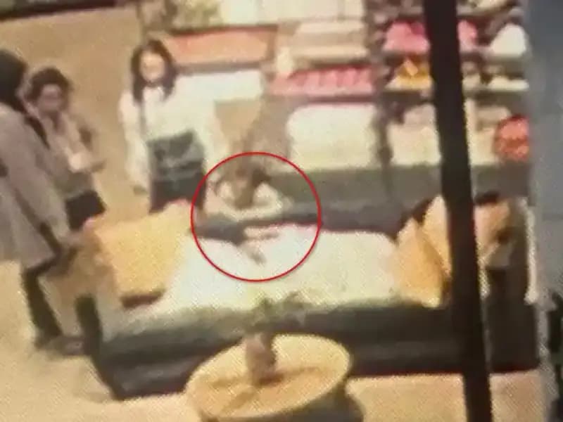 3 Yaşındaki Çocuğa AVM'de Köpek Saldırdı: Aile Şokta!