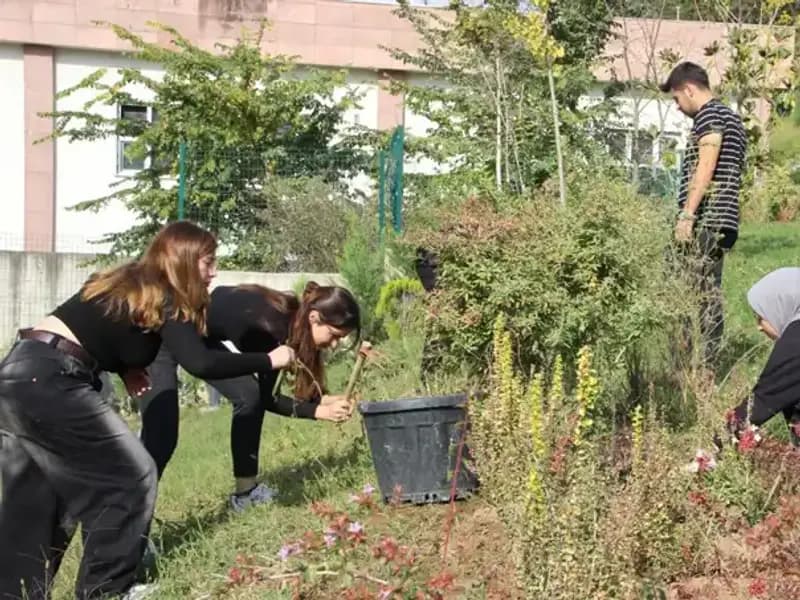 Düzce’nin Yükselen Yıldızı: Hayalini Gerçeğe Dönüştüren Girişimci