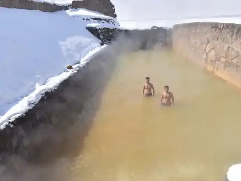 Şifanın Sırrı: Romatizma, Solunum ve Sinir Sistemi Üzerinde Etkili Çözüm!