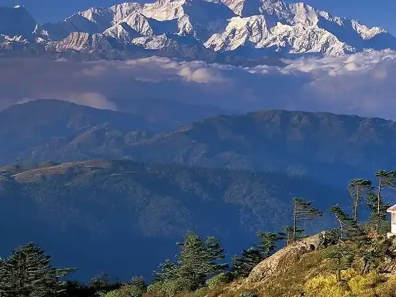 Pakistanlı Kadın Dağcı, Dünyanın En Yüksek 12 Zirvesine Tırmanarak Tarih Yazdı!