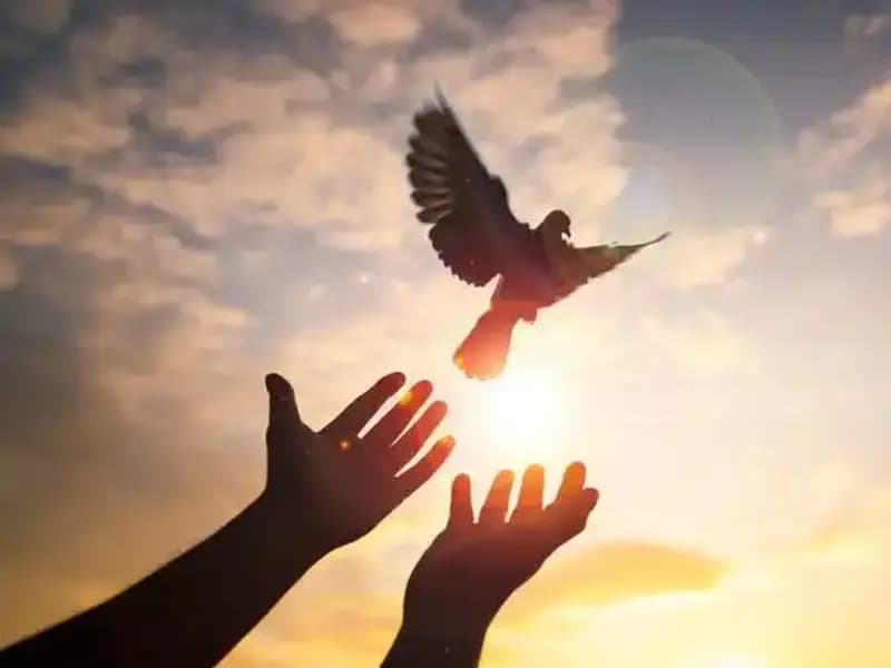 Cuma Mesajları: Anlamlı ve Etkileyici Sözlerle Sevdiklerinizi Mutlu Edin