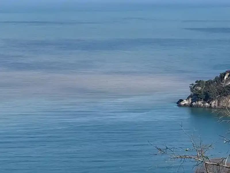 Bartın Irmağı'ndan Aksu: Denizin Rengi Değişti, Çamurlu Su Alarm Veriyor!