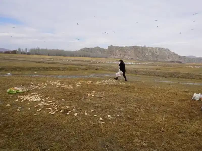 17 Yıldır Ekmek Kırıntısı Toplayan Adamın İnanılmaz Hikayesi!