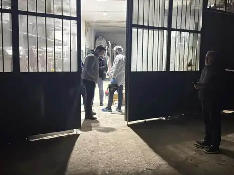 İş Yerinde Gerçekleşen Korkunç Cinayet: Olayın Ardındaki Karanlık Gerçekler