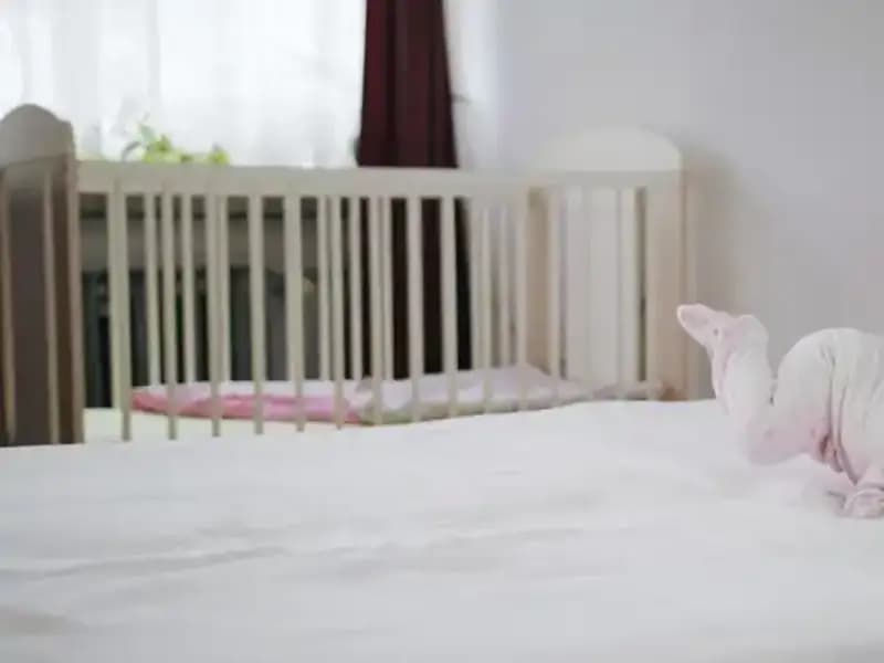 Bebek Yataklarındaki Gizli Tehlike: Zehir Saçan Malzeme Fark Edildi!