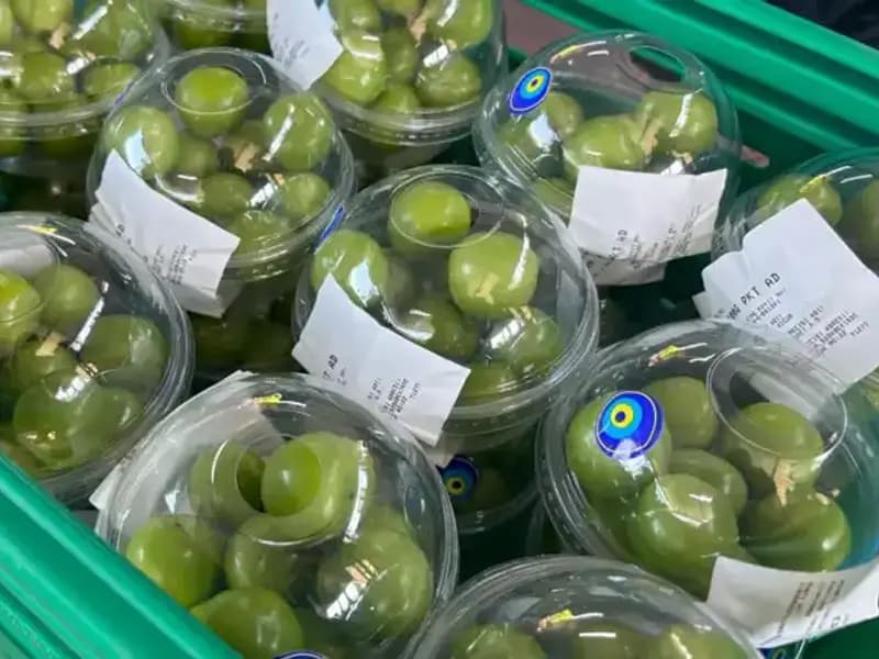 Kışın Don Etkisi: Sebze Rekoltesinde Düşüş, Fiyatlar Yükseldi