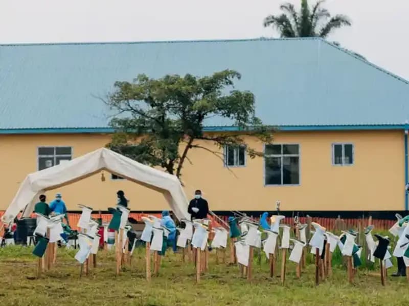 DSÖ, Marburg Virüsü Salgısının Resmen Sonlandığını Duyurdu!