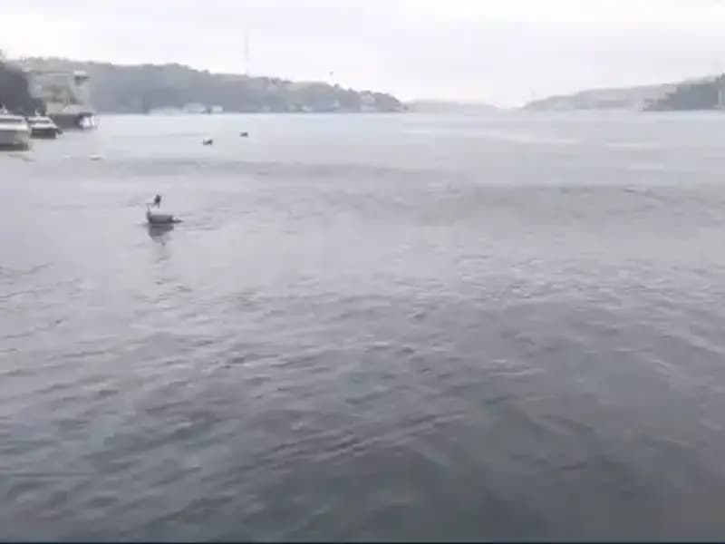 İstanbul'da 6,2 Büyüklüğündeki Deprem: Denizde Dalga Yüksekliği Artıyor!