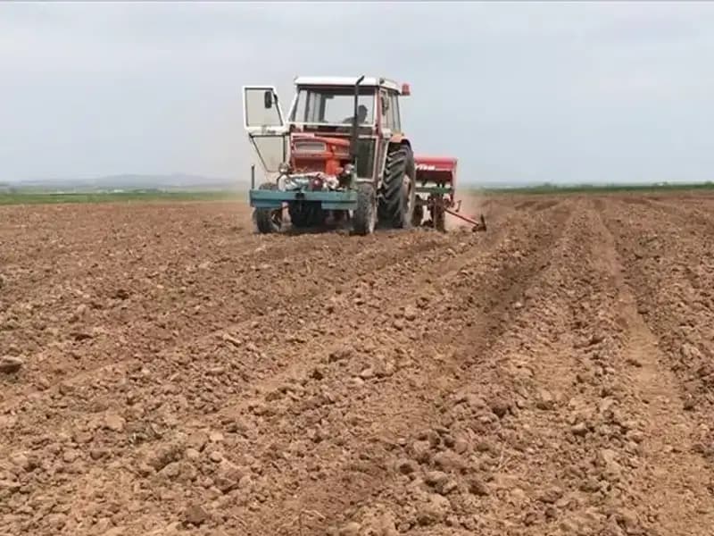 Son 35 Yılın En Kurak Mart Ayı: Yağışlar Yüzde 59 Düştü