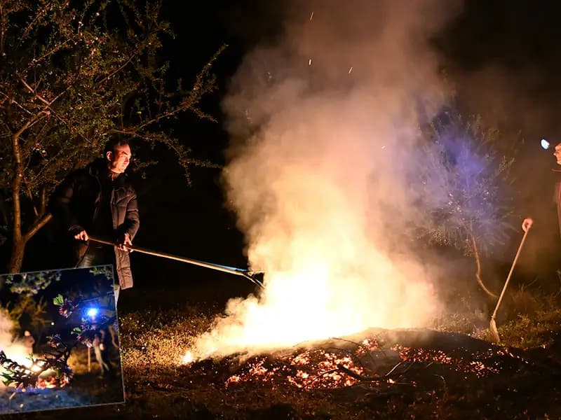 Türkiye'de 174 Noktada Zirai Don Alarmı: Çiftçiler Önlemde