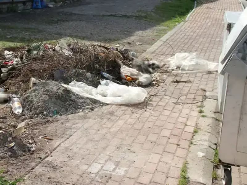 Antalya'da Gizemli Kedi Ölümleri: Vahşetin Arkasındaki Gerçek Ne?