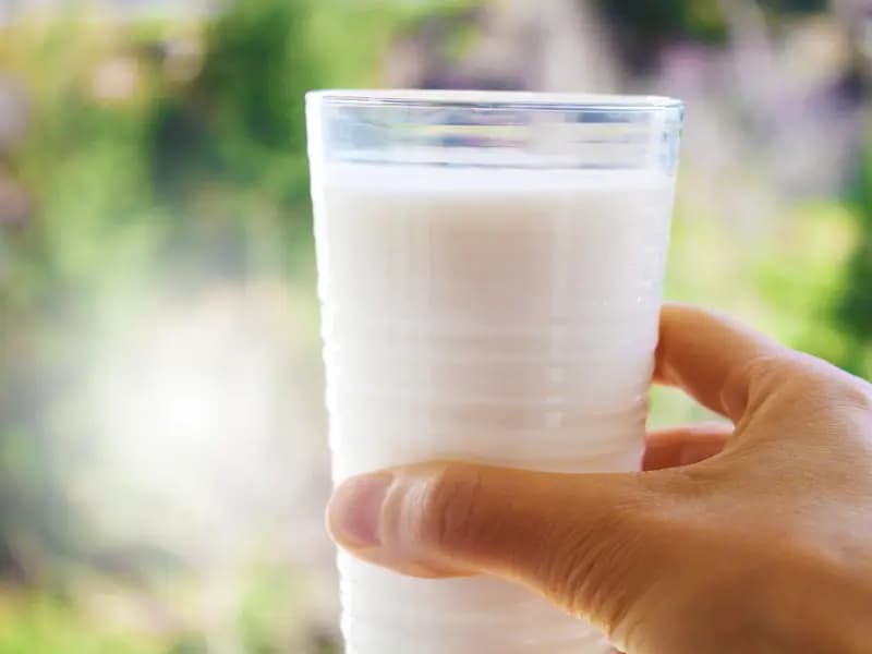 Günde 1 Bardak Süt İçmenin Sağlığa Faydaları ve Risk Azaltımı