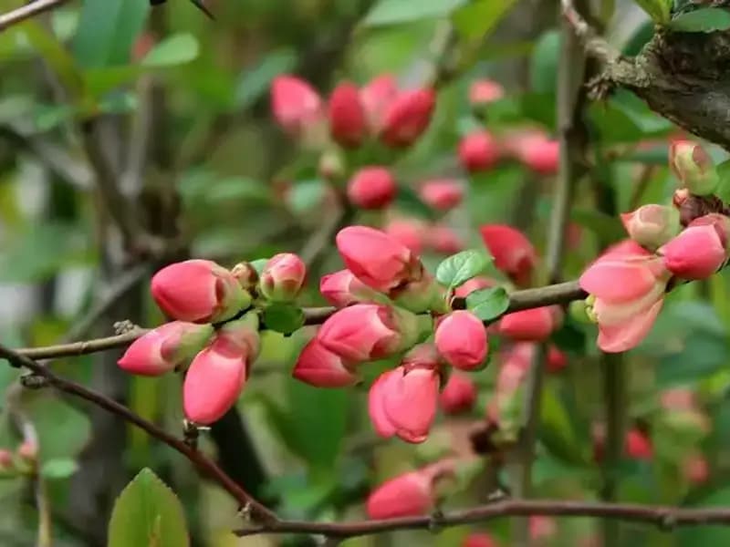 Nisan Ayında Paylaşabileceğiniz En Güzel Mesajlar ve Sözler