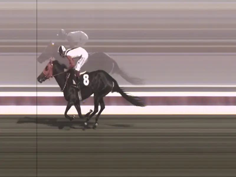 Mersin'de Kavurmada Bulunan At Eti, İngiliz Yarış Atına Ait