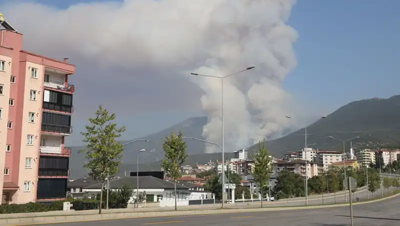 Denizli'de Orman Yangını: Yangının Çıkışı ve Gözaltındaki Şüpheli