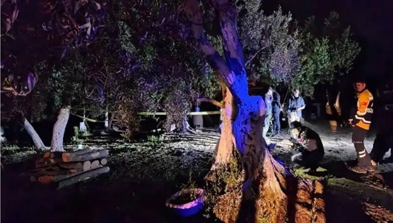 Çiftlikteki Baltalı Vahşet: Bir Tutuklama, Çok Sayıda Soru