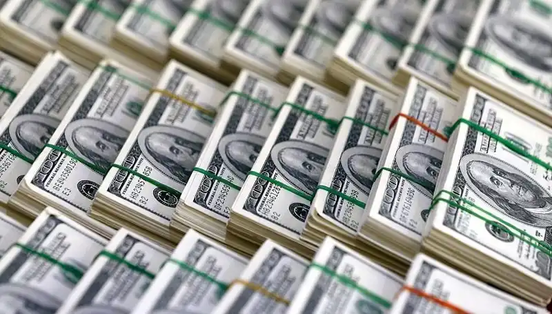 Dolar Yükselişi İçin Uzmanlardan Endişe Verici Uyarı: Ne Olacak?