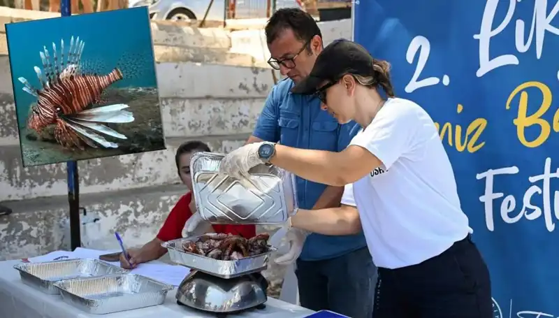 Antalya'da Düzenlenen İstilacı Aslan Balığı Avlama Yarışması Büyük İlgi Gördü