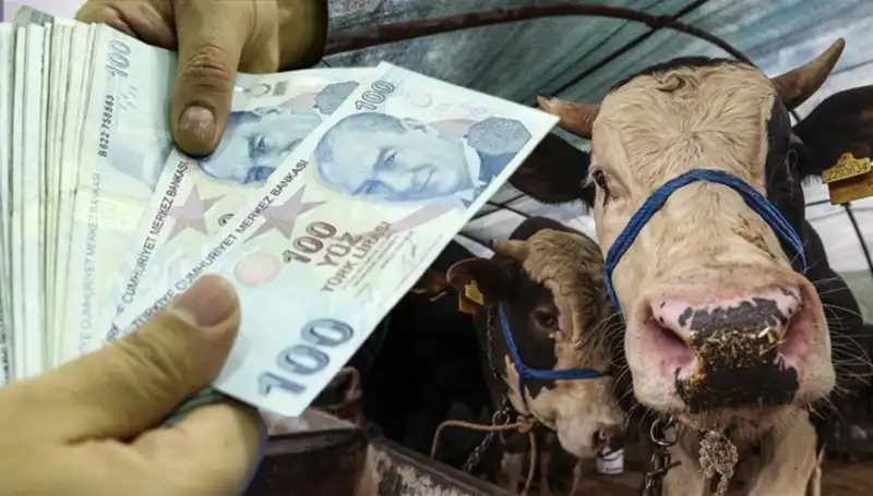 Kurban Bayramı Öncesi Maaşlar Yatacak mı? Emeklilere Müjde Geldi!